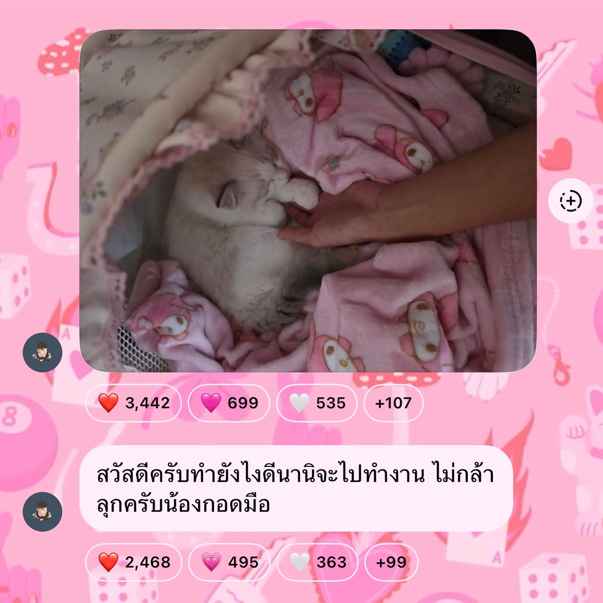 บิ้บซี่ tweet media