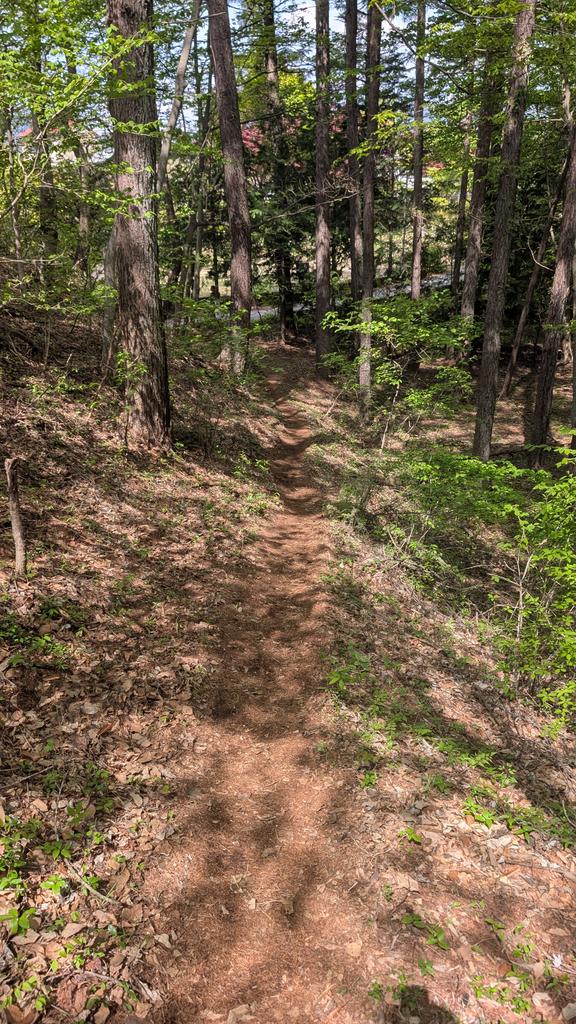 半袖船長🍥MtFUJI100 2026 完走！ tweet media