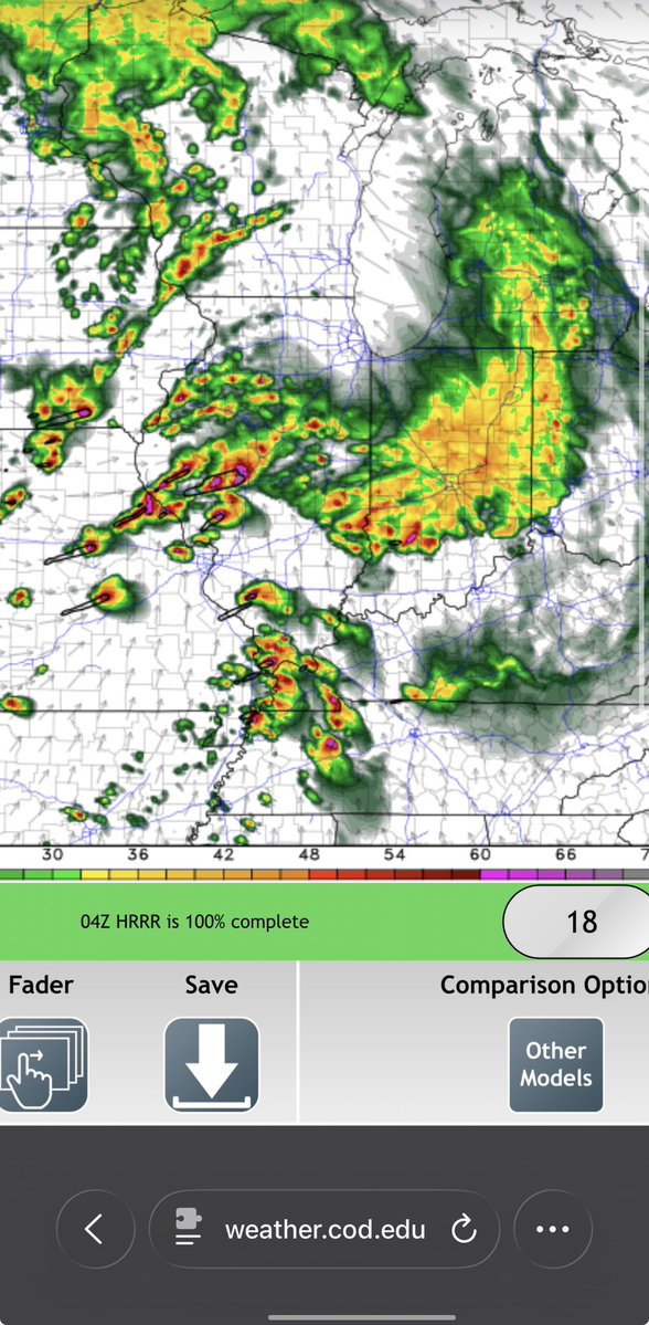 🐈‍⬛ tweet media