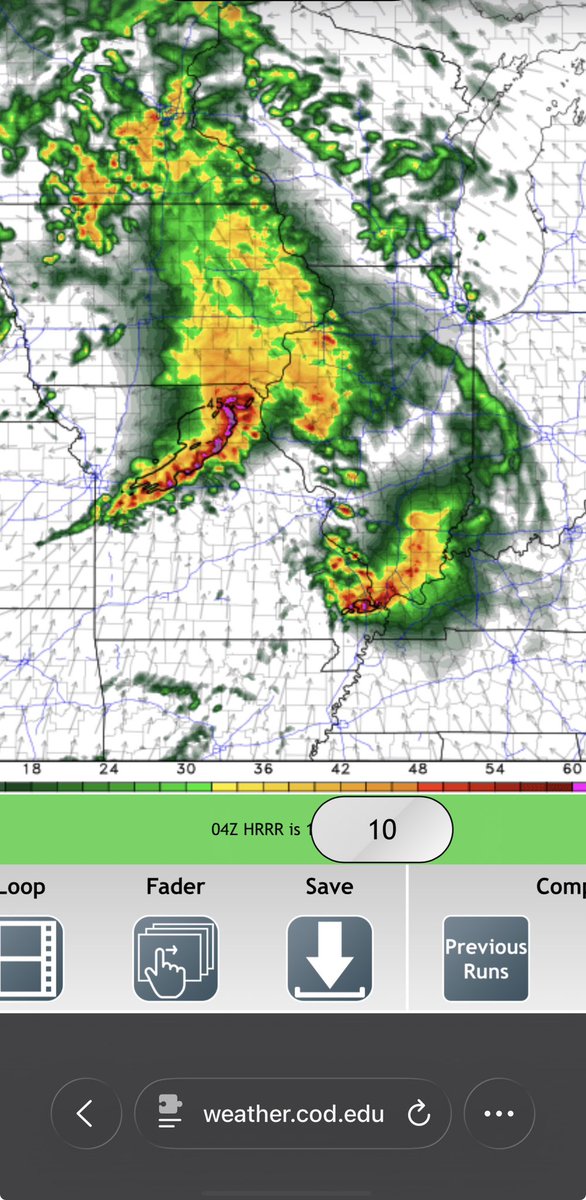 🐈‍⬛ tweet media