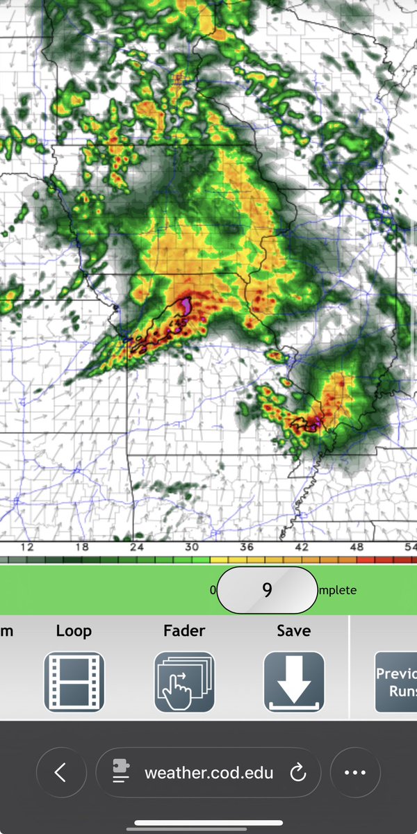 🐈‍⬛ tweet media