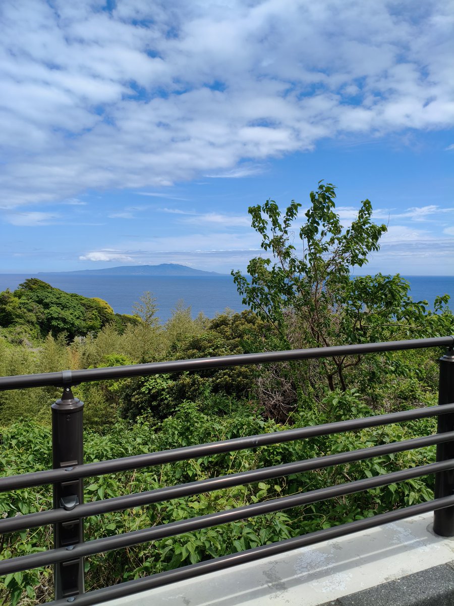 じゃみ tweet media