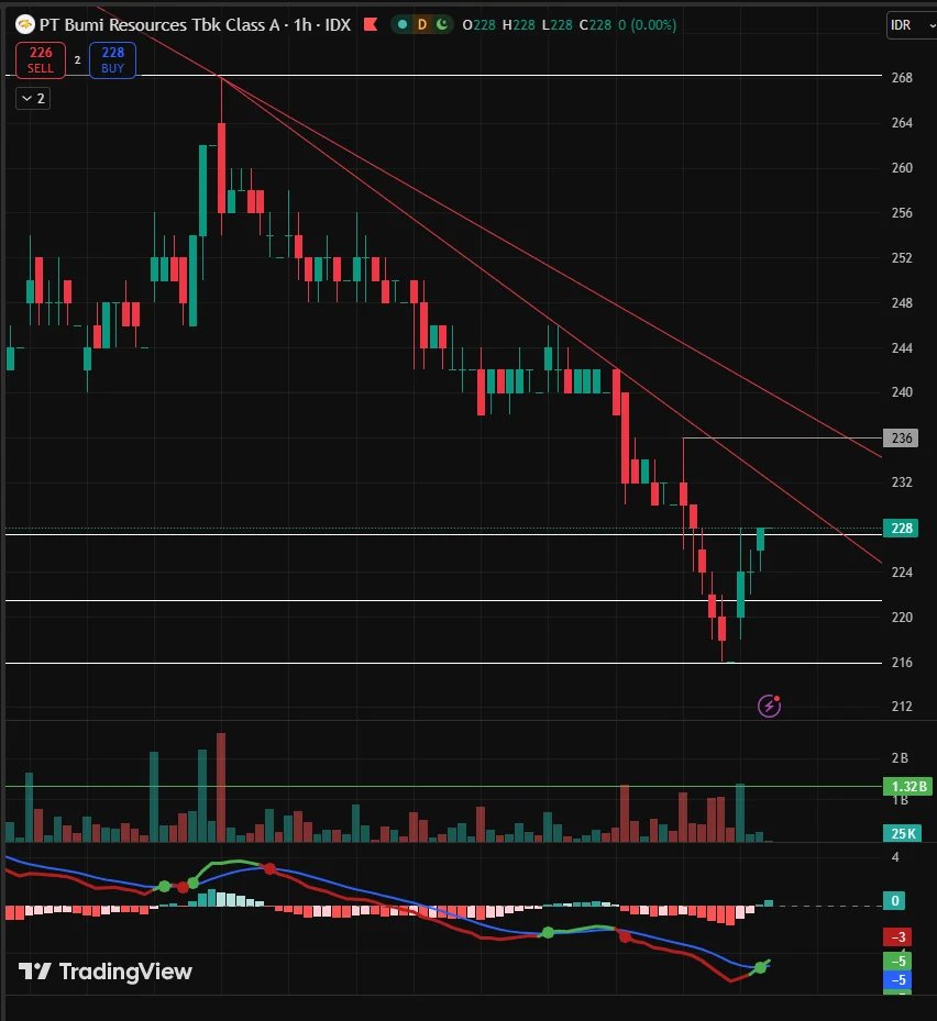 Trader Garis Meme tweet media