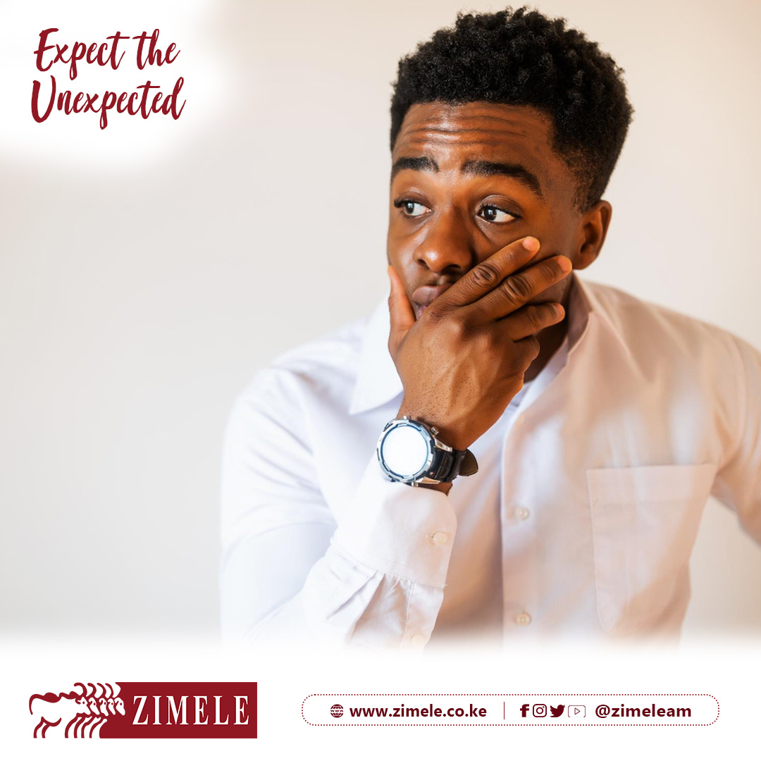 Zimele Asset Management tweet media