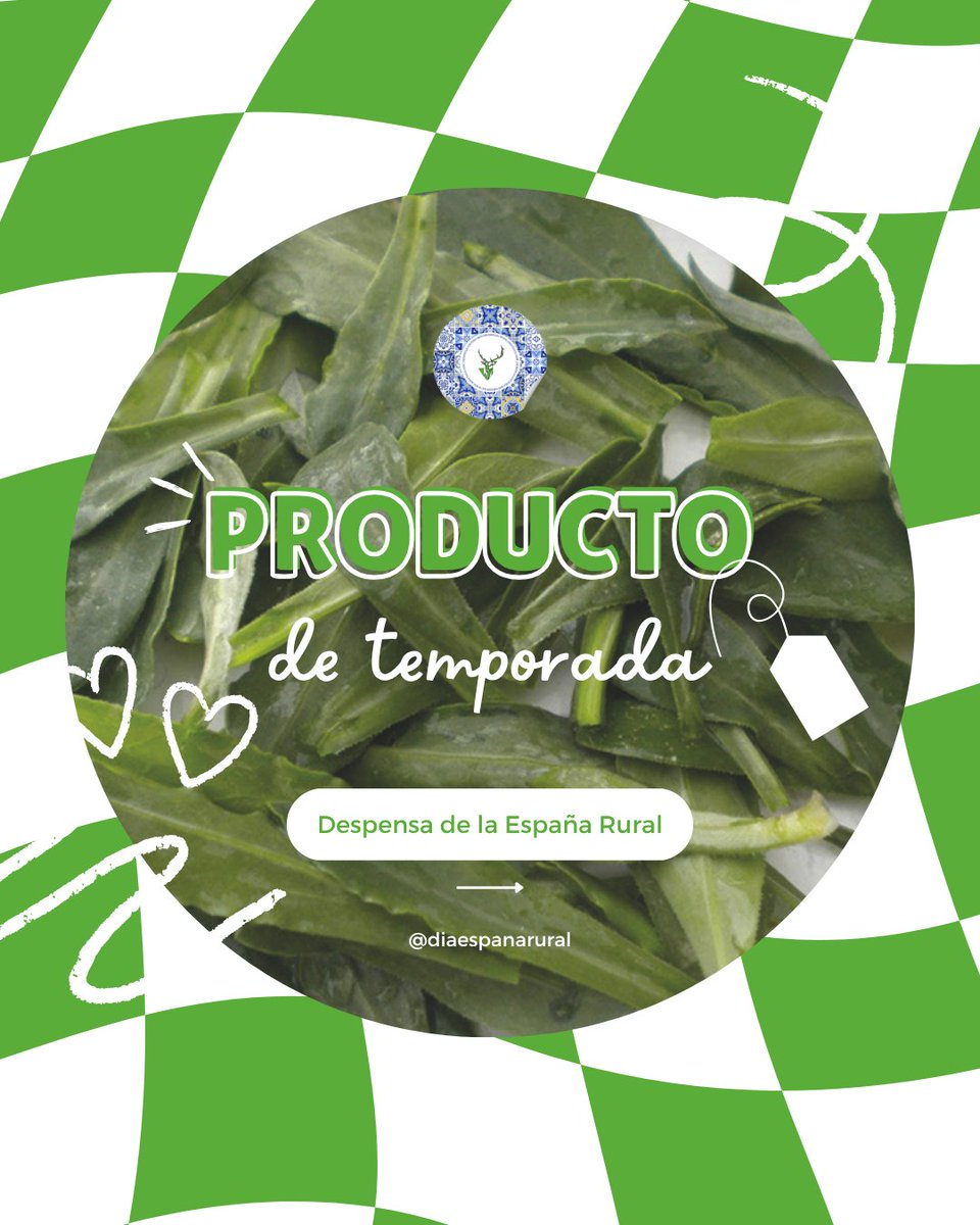 ARGATACA tweet media