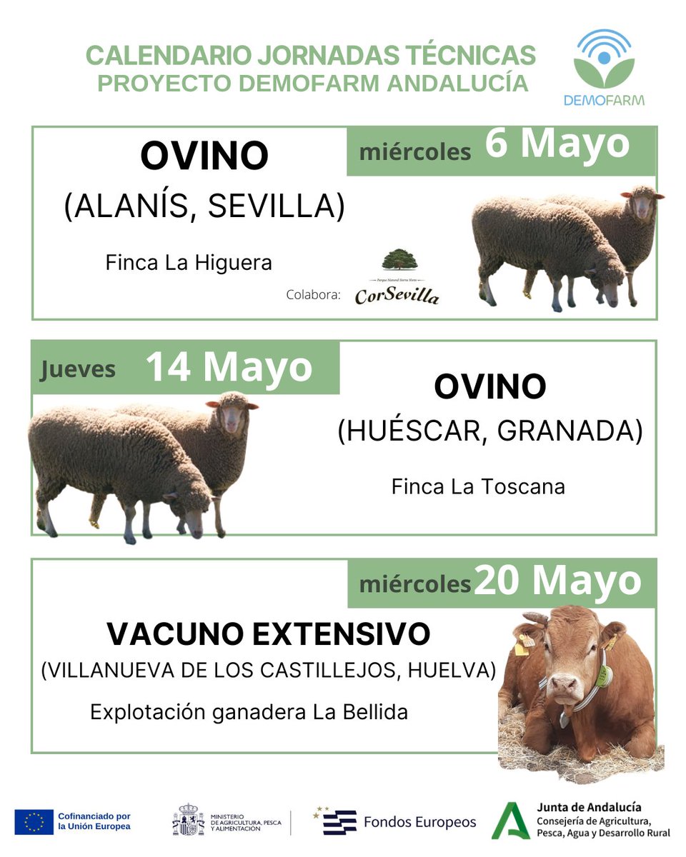 Demofarm Andalucia tweet media