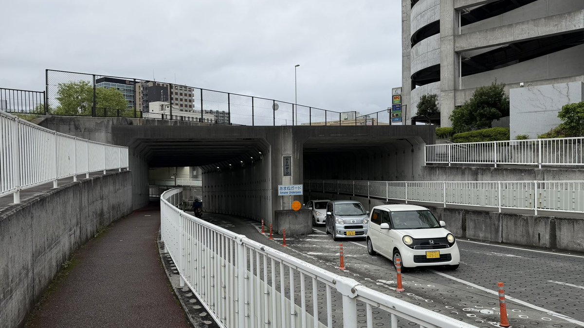 がち 🍟(๑╹ڡ╹๑)🐙💚🚑🐚🐧🍓 tweet media