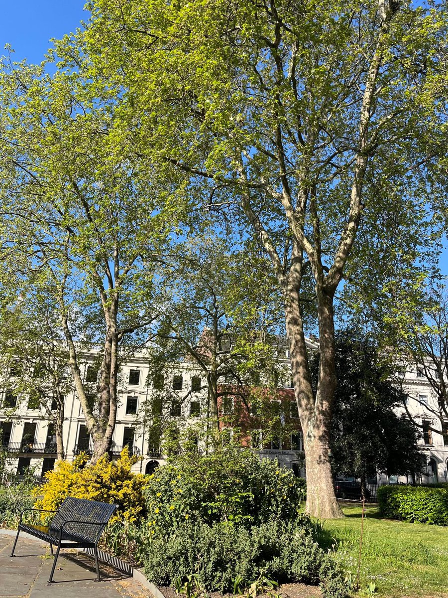 TaraWardBooks's tweet image. #MotivationMonday: I had 3 days of work last week during the tube strike which was stressful. So I used my #Mindfulness skills: up early to amble over Waterloo Bridge, stroll for 30 mins, then sit &amp;amp; breathe in a lovely square. All the work went so well. #Mindfulness works!