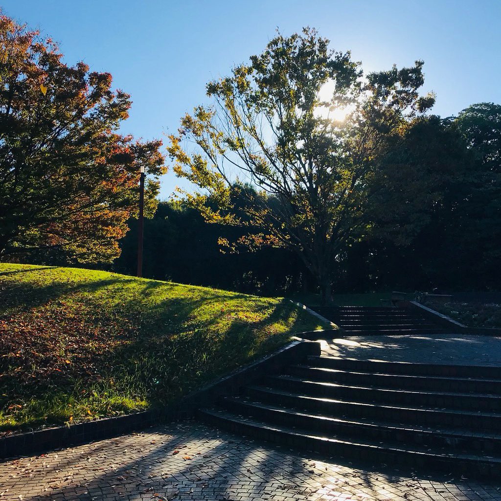 jun_horiguchi's tweet image. 🌾🍃🍂🌾🍃🍂🌾🍃🍂

instagram.com/jun.photo.bw

#photos #colors #autumn