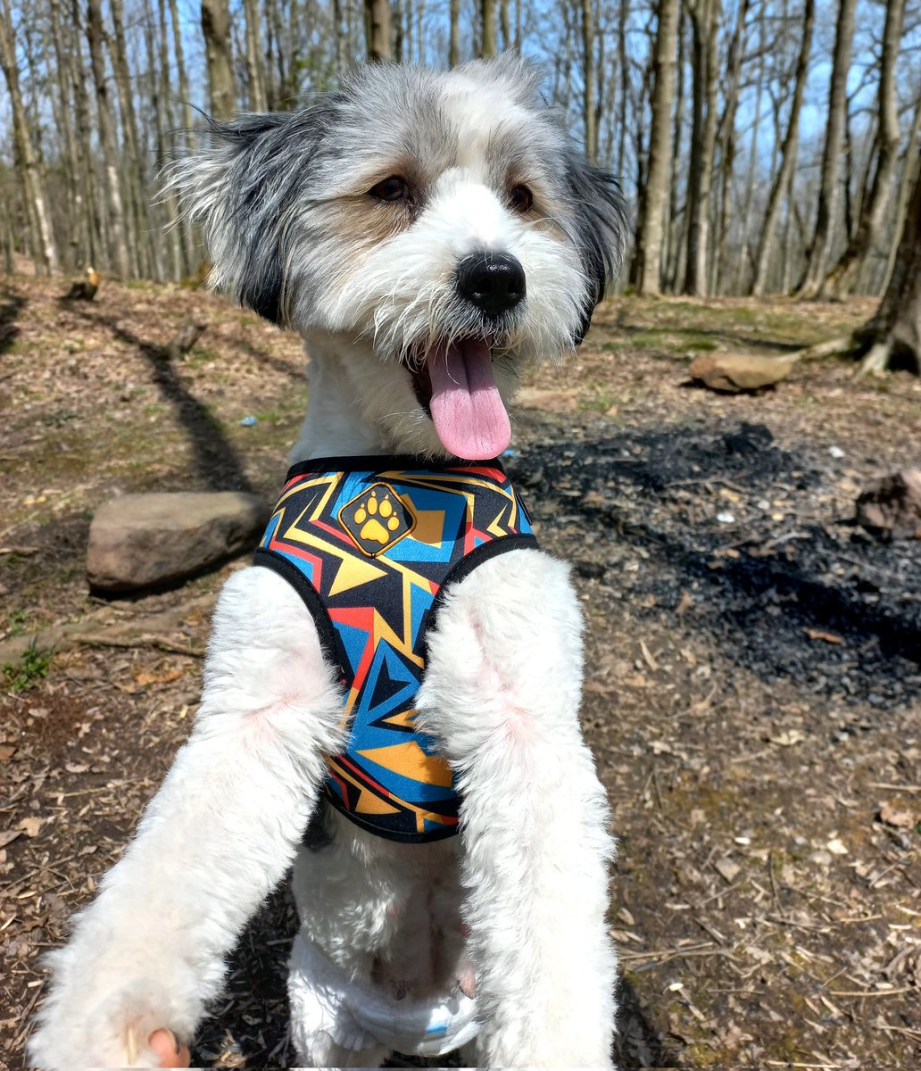 اطلاعی ندارم. tweet media