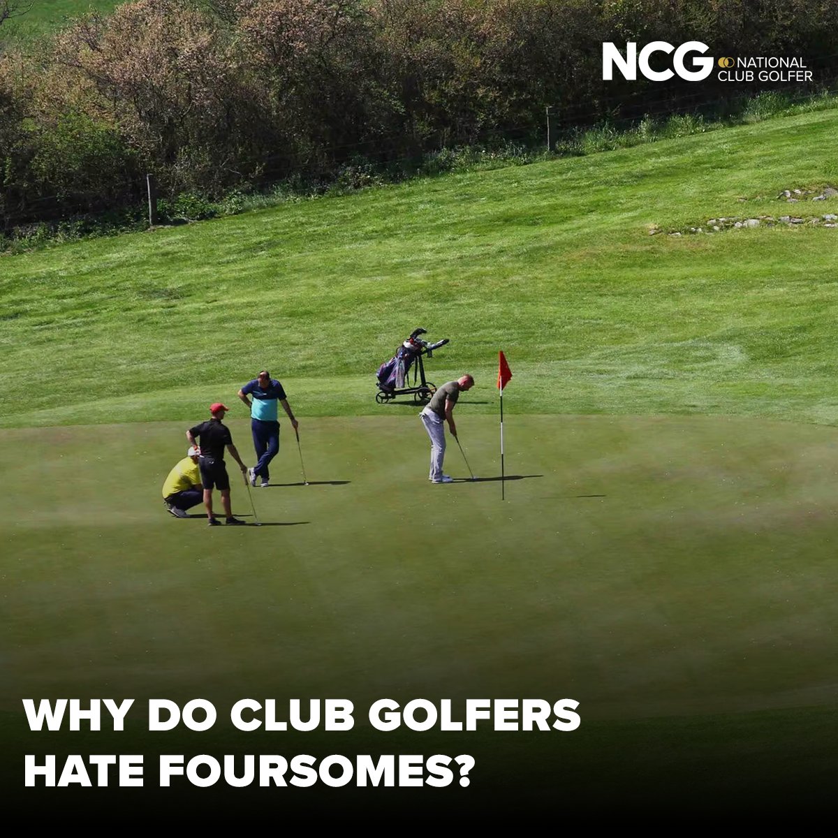 National Club Golfer tweet media