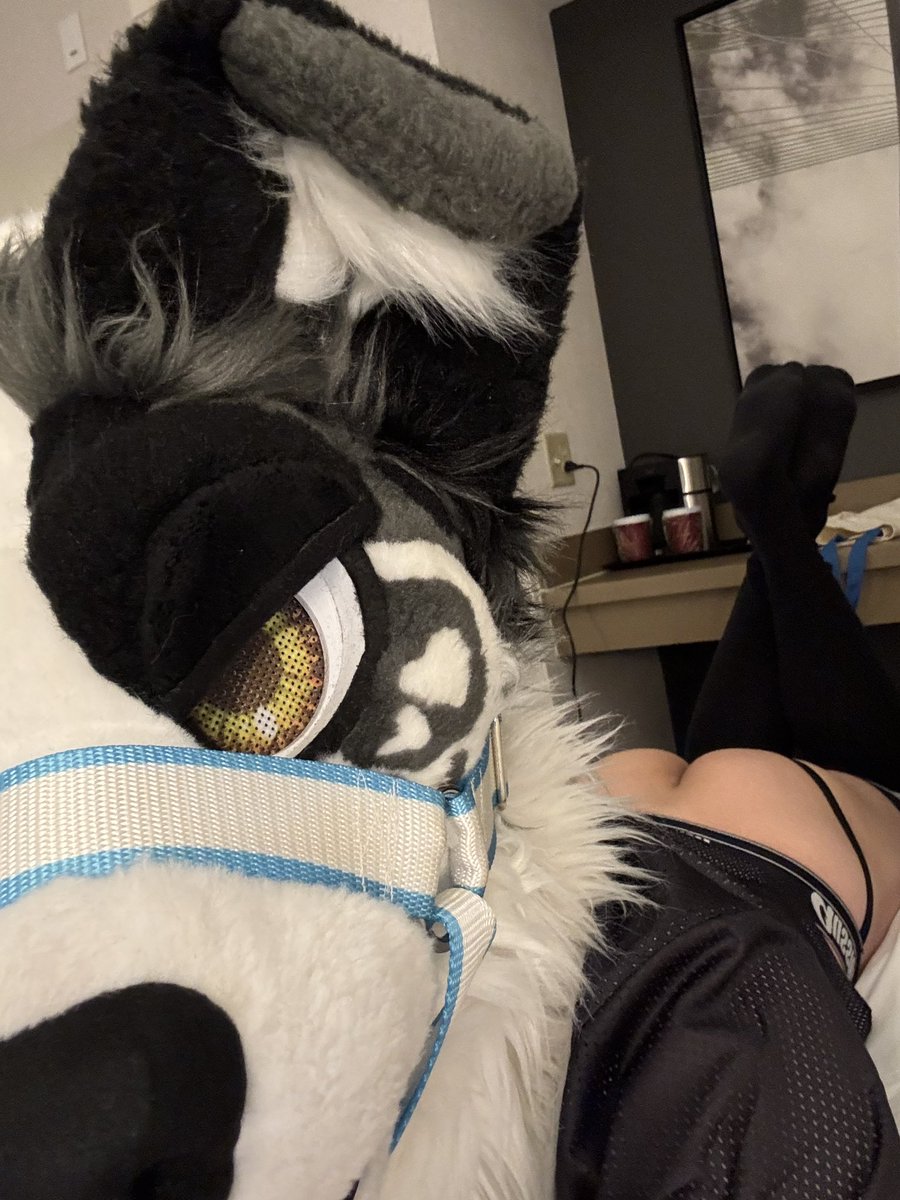 DIOR AFTERBARK 🐶🐾🔜 ?? tweet media