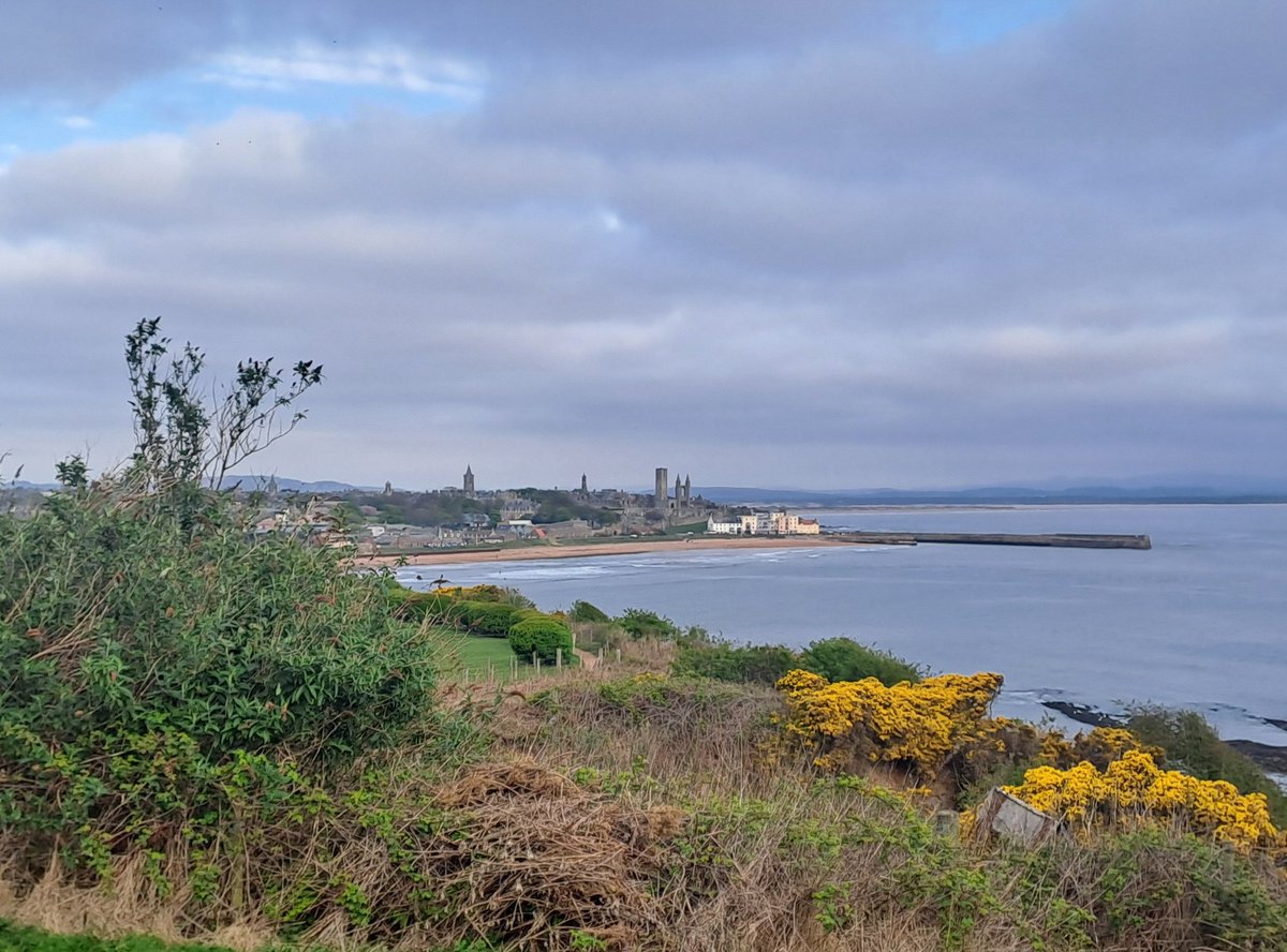 kjhaden17's tweet image. Early morning rabbit on the coastal path #standrews #scotland