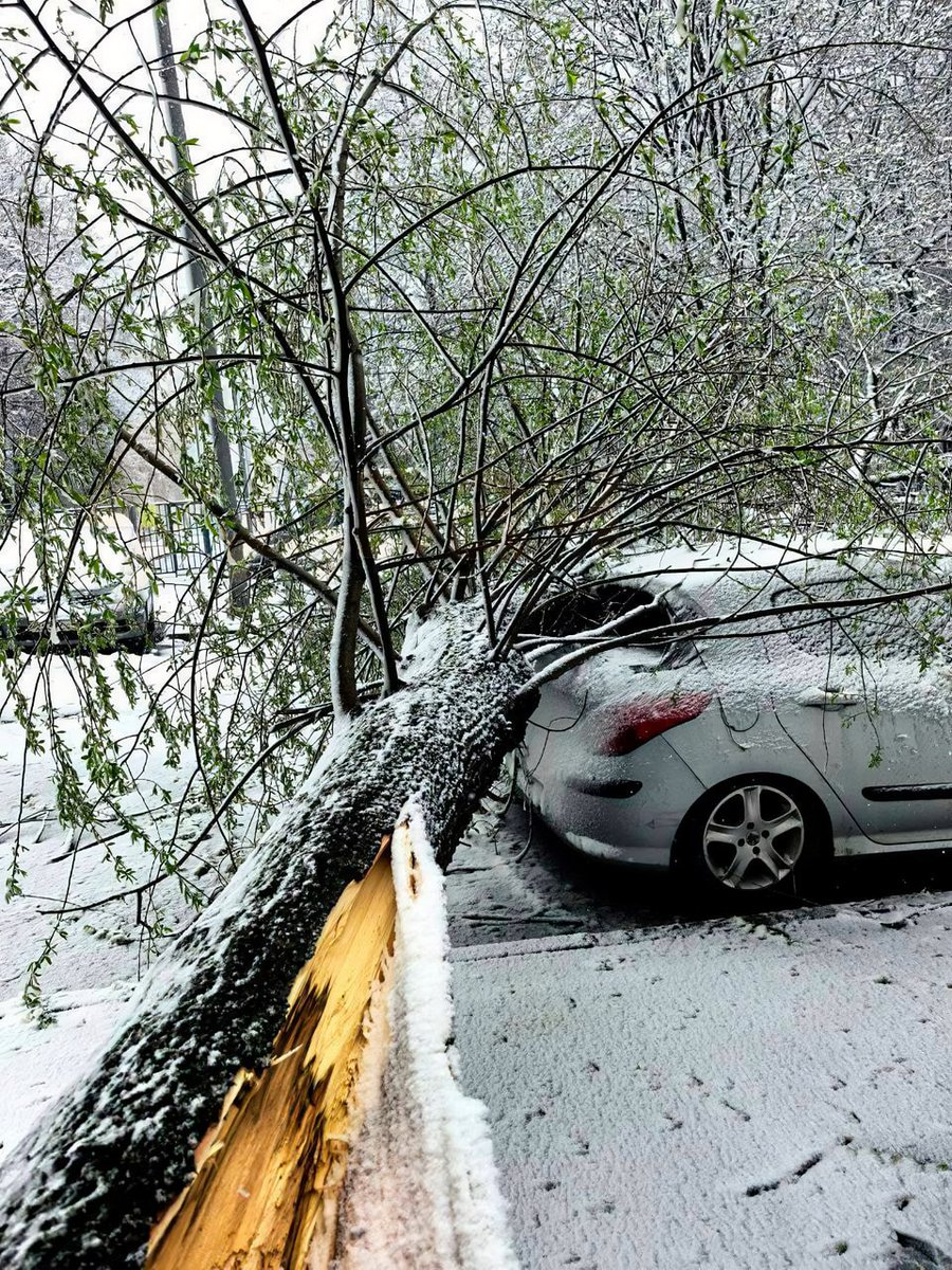 ⭐️Oles Filonenko⭐️ tweet media