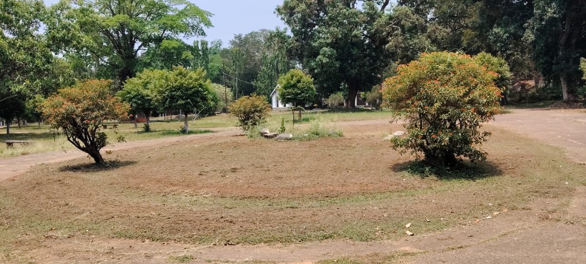 SailVisl's tweet photo. Cleaning of Park near Sir M. Visvesvaraya Museum at SAIL-VISL
@hd_kumaraswamy
@plantsalem
@SteelMinIndia
@SAILBSP1
@SAILranchi
@SAILsteel
@sailrsp1
@SAILBSL2
@SAIL_IISCOSteel
@DSPSAIL1
@SAILasp1965
@SAILCMO
@PibSteel https://t.co/oBckAreJ6s