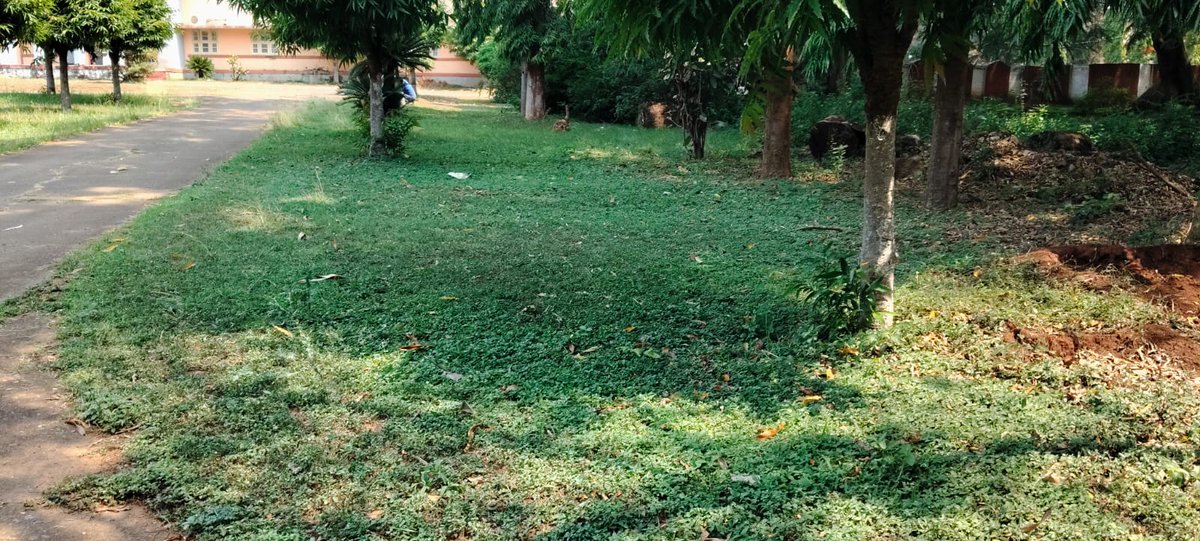 SailVisl's tweet photo. Cleaning of Park near Sir M. Visvesvaraya Museum at SAIL-VISL
@hd_kumaraswamy
@plantsalem
@SteelMinIndia
@SAILBSP1
@SAILranchi
@SAILsteel
@sailrsp1
@SAILBSL2
@SAIL_IISCOSteel
@DSPSAIL1
@SAILasp1965
@SAILCMO
@PibSteel https://t.co/oBckAreJ6s