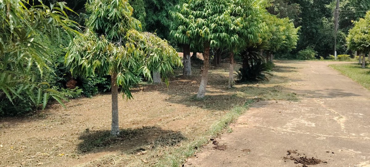 SailVisl's tweet photo. Cleaning of Park near Sir M. Visvesvaraya Museum at SAIL-VISL
@hd_kumaraswamy
@plantsalem
@SteelMinIndia
@SAILBSP1
@SAILranchi
@SAILsteel
@sailrsp1
@SAILBSL2
@SAIL_IISCOSteel
@DSPSAIL1
@SAILasp1965
@SAILCMO
@PibSteel https://t.co/oBckAreJ6s