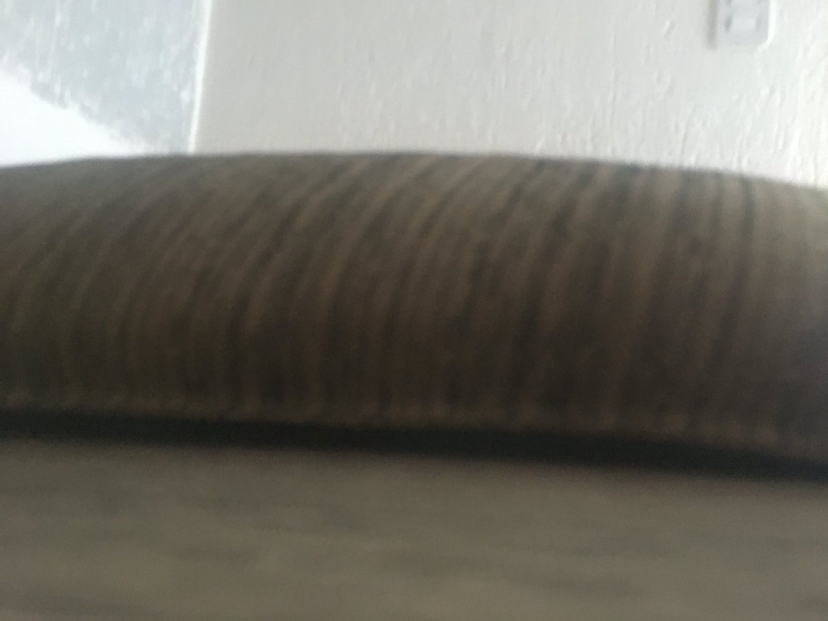 Gabrielbrap_'s tweet image. Quando esconder algo tire uma foto #sci #scifiyng #lord #preacher #preach #it #object