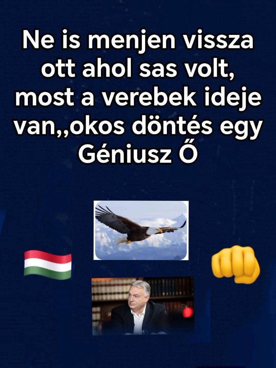 Böjte Balázs tweet media