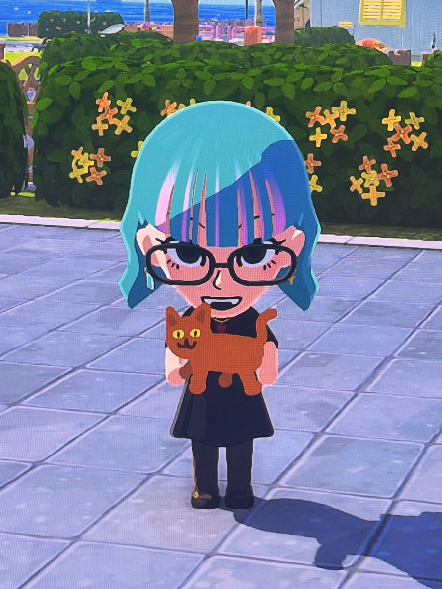 🪐polygon donut🪐 tweet media