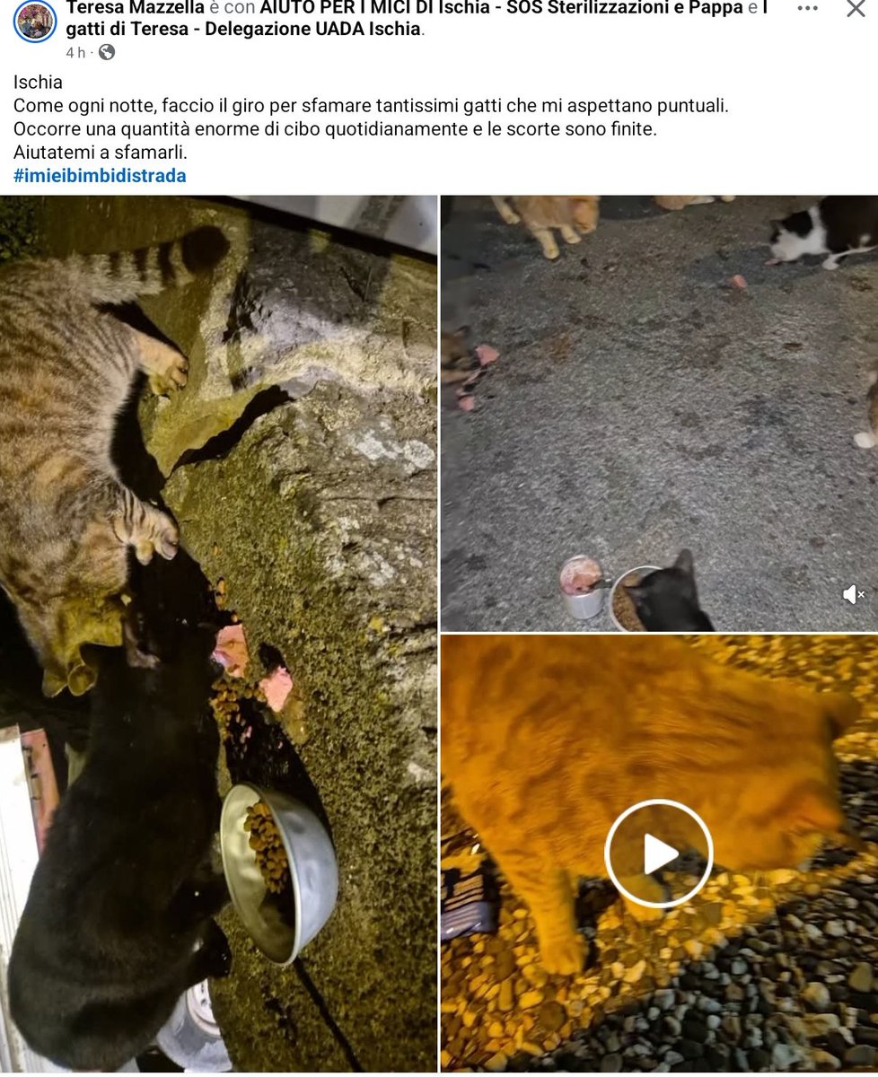 un atto d'amore odv tweet media