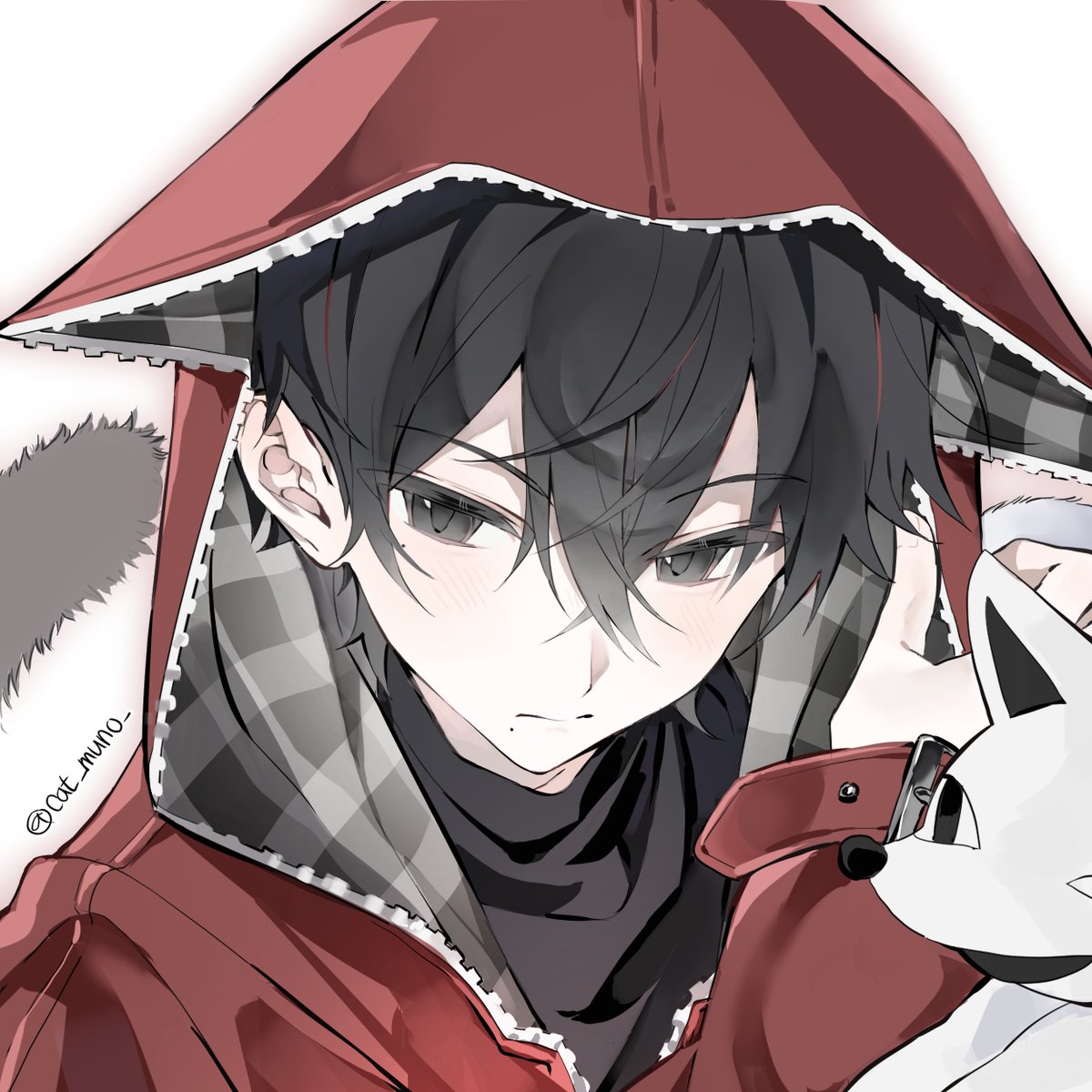 똥고양이 tweet media