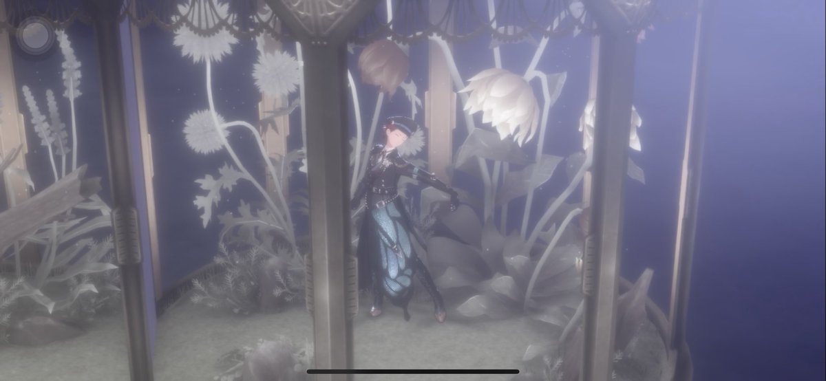 酒酿桂花 tweet media