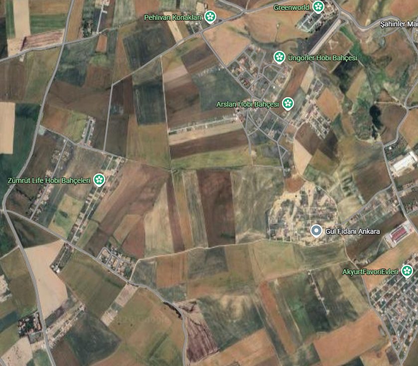 Profesör Facia tweet media