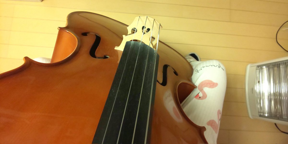 Ladybird0612's tweet image. 湿気で音がボワボワする
#チェロ #cello