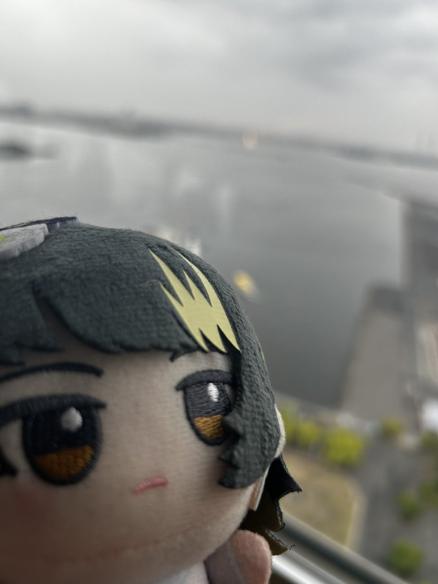 たつお tweet media