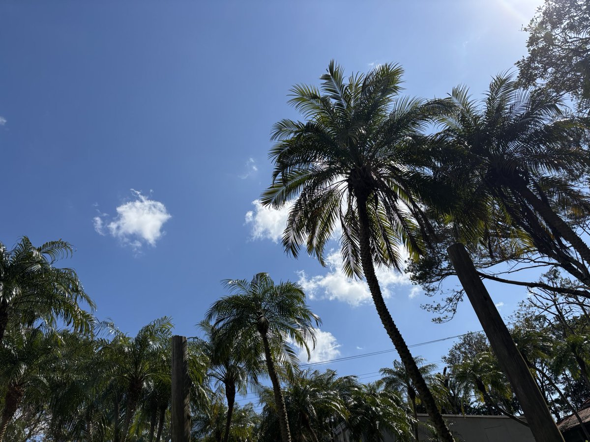 Vi2_8jo's tweet photo. こんにちは🌤️

今週はCoconut brownieケーキ🥥ございます食後の二件目にいかがですか☺️🍸

Vi2🌴Open time 19:00〜

＊GW休ます営業になります＊

#八丈島 https://t.co/FpFcWQGGZ2