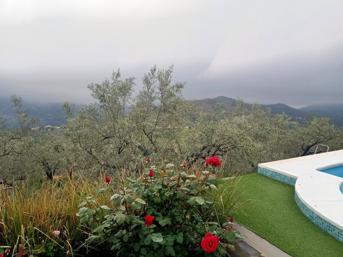 Marina Fransen tweet media