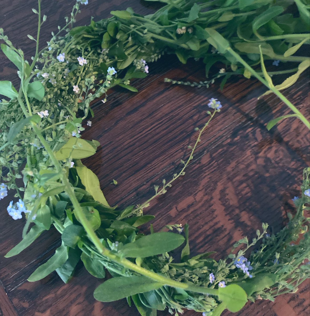 from__garden's tweet photo. Forget-me-not flower crown
* https://t.co/oDtnKIt2Jc