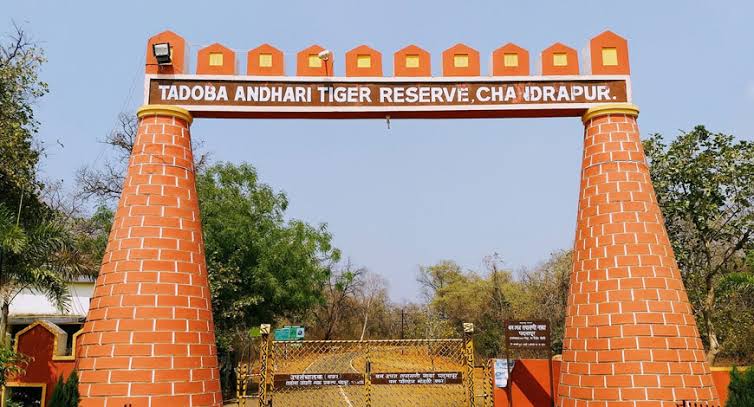 Nagpur_Vidarbha's tweet photo. #Chandrapur #TigerRegion #EcoVillages
🐅 Ambitious Plans to develop "Agarzari" and "Moharli" as Model Eco-friendly Villages, as well as to establish Tadoba-Andhari Tiger Reserve as an International Tourist Destination.
@InfoChandrapur
https://t.co/EOsIviOKdh https://t.co/g1WMTDjVKO