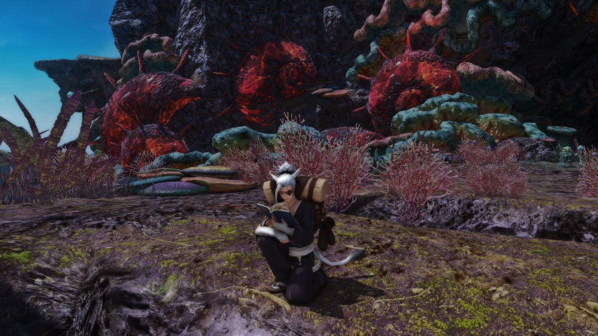 s_43m1's tweet photo. "I've become something of a gleaner in all but name. I hold no direct affiliation, but holding good relations with the biggest academic institution in the world has it's benefits. At the behest of a researcher, I'm investigating aroung the Sahagin's breeding grounds." 13/62? https://t.co/JhhjqHJJCK