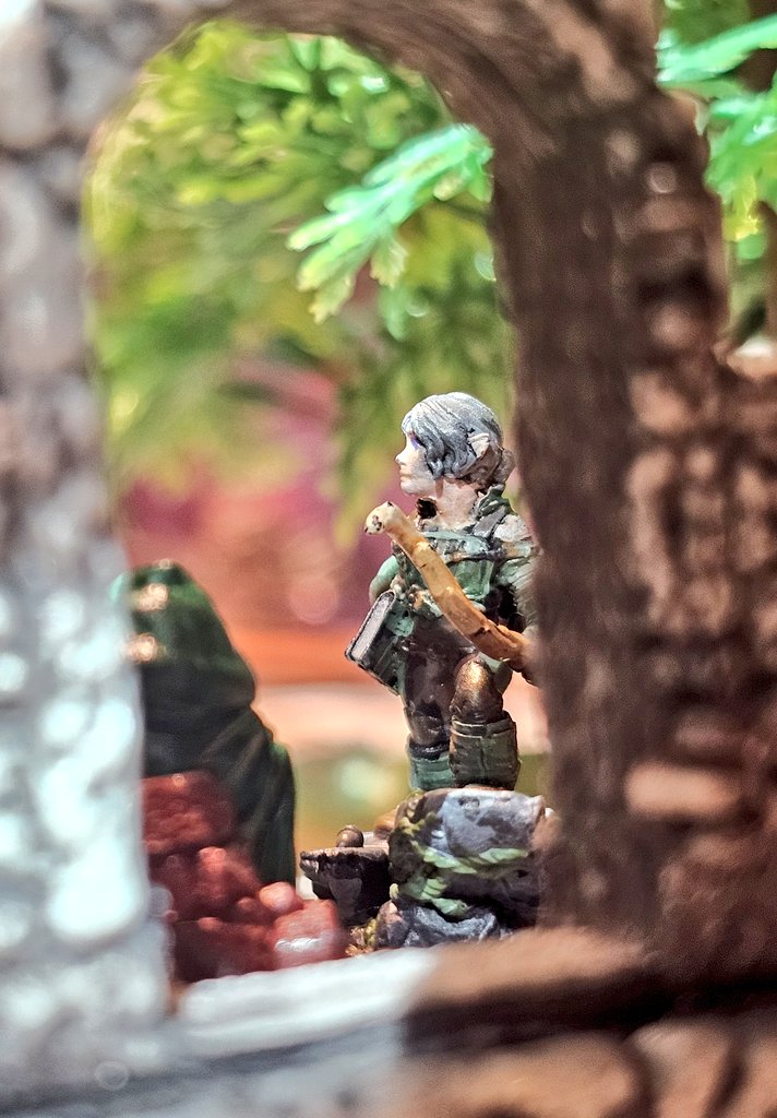 트친소🐿디플레이 tweet media