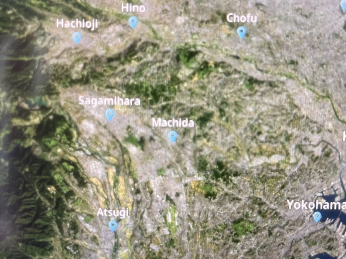 kakachan tweet media