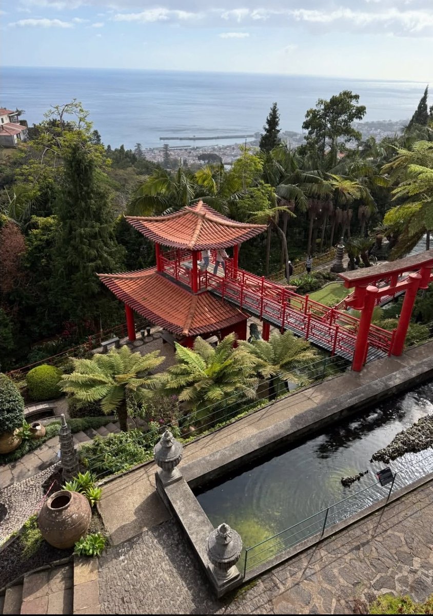 LisaBohdan's tweet image. Medeira 🇵🇹: An island where time stops and you wake up 🌿,there are places where they go for impression they are those where they return after themselves. #Madeira is not just a point on the mark of the Atlantic,its is the potter to a state of " here and now" Thanks 
#travel
