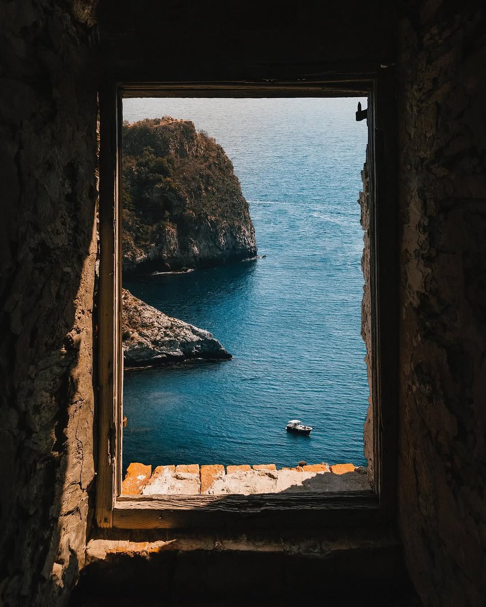 VoidVista tweet media