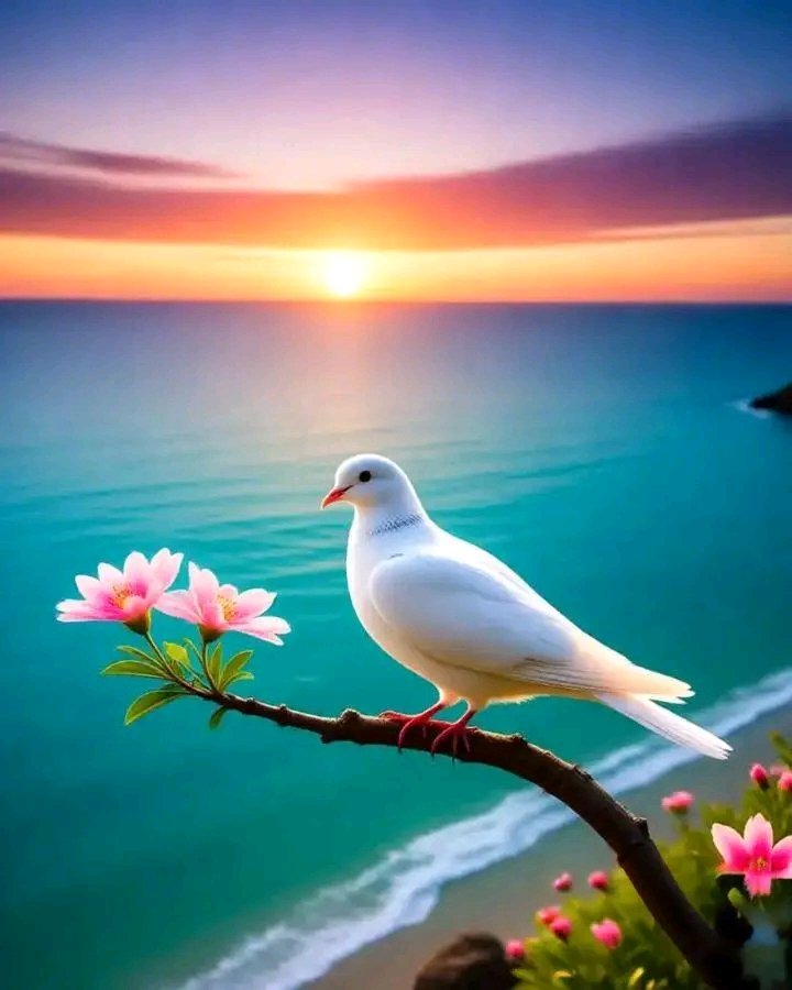 🕊️ ESLAMM🕊️ Karam🕊️. tweet media