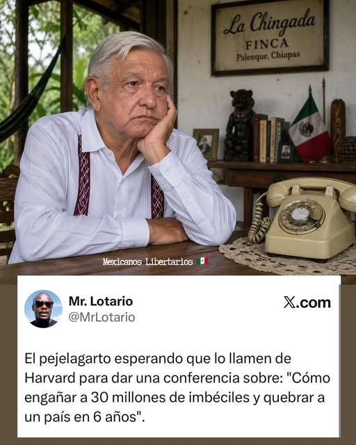 constanza luna tweet media