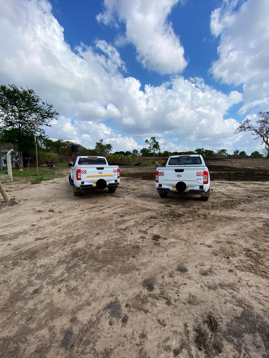 IsackIlamlila's tweet photo. Hivi ushajiuliza, Kwanini Kinyesi Cha Tembo wanasema ni Dawa ya Magonjwa Mengi Sana. 

Jibu ni kwamba yule mnyama anakula asilimia 90 ya miti unaijua wewe pamoja ma matunda yake. 

Ikawe Asubuhi Njema kwako, kula Matunda ya Asili Sana. https://t.co/B3zQ2rDhMU