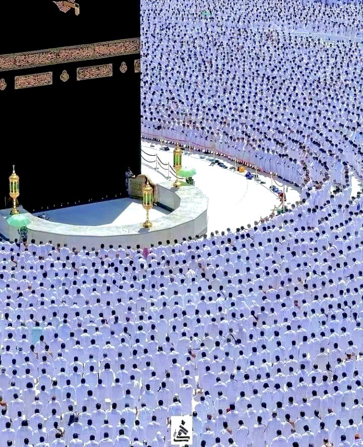 Syeda Fatima! tweet media