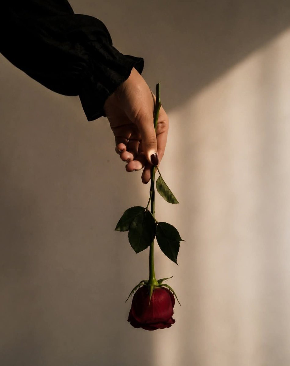 𝔪𝔬𝔥𝔞𝔪𝔢𝔡 𝔱.𝔢𝔩𝔟𝔢𝔱𝔞𝔞𝔯 tweet media