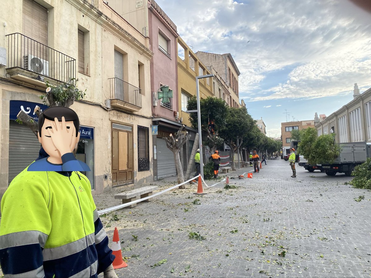 Dani Solé tweet media