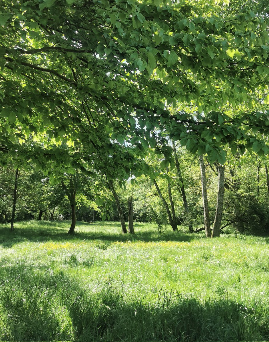 Paulette à bicyclette tweet media