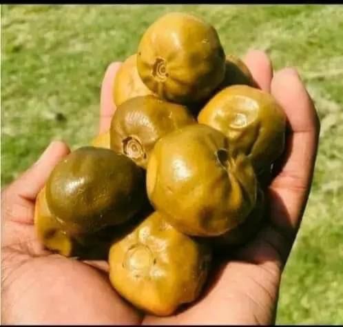 Koena Moabelo🇿🇦 tweet media