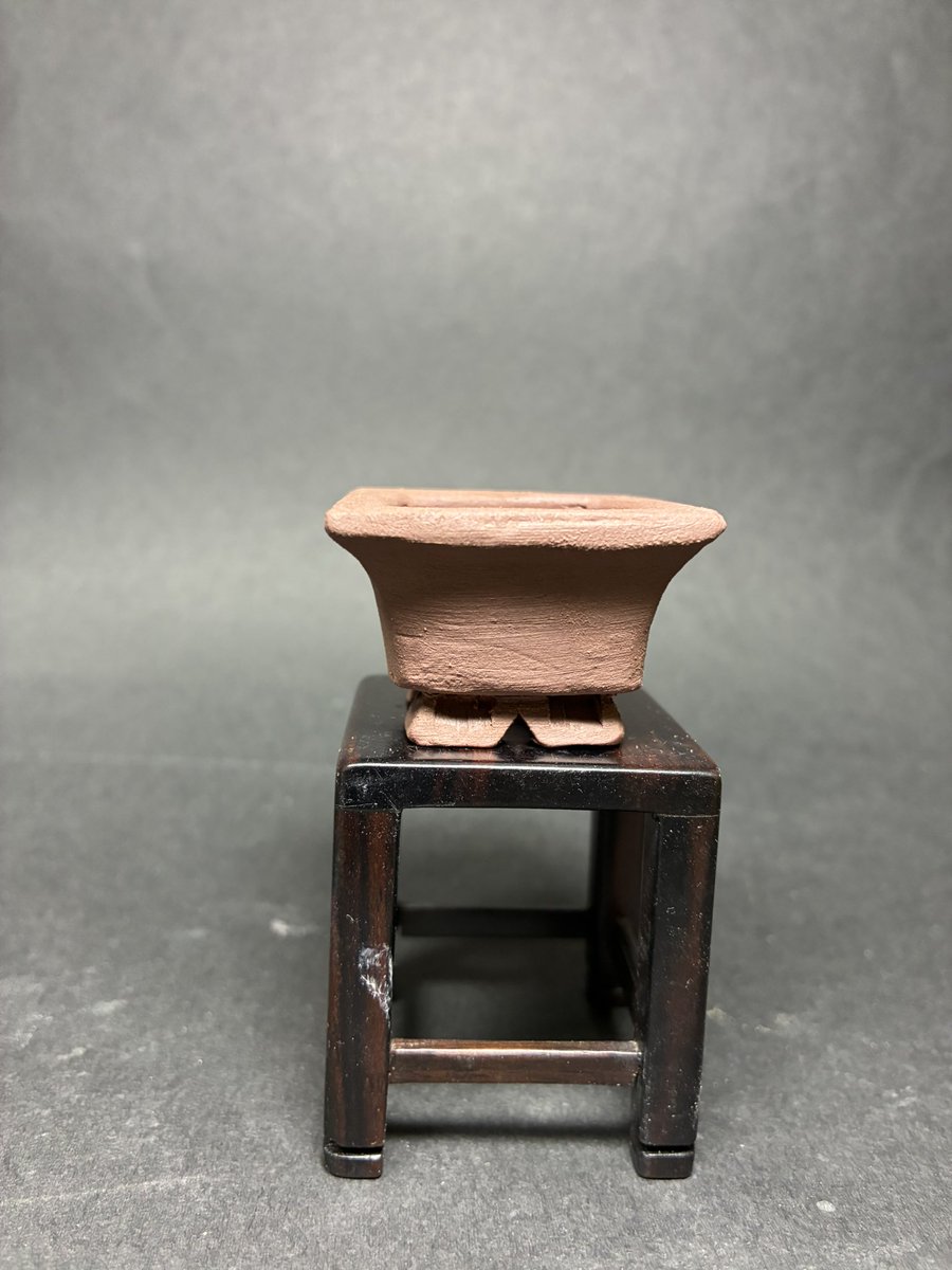 盆栽小鉢　信心　(shinjin) tweet media