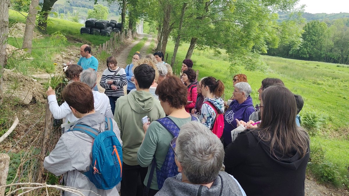 Geoparkea tweet media