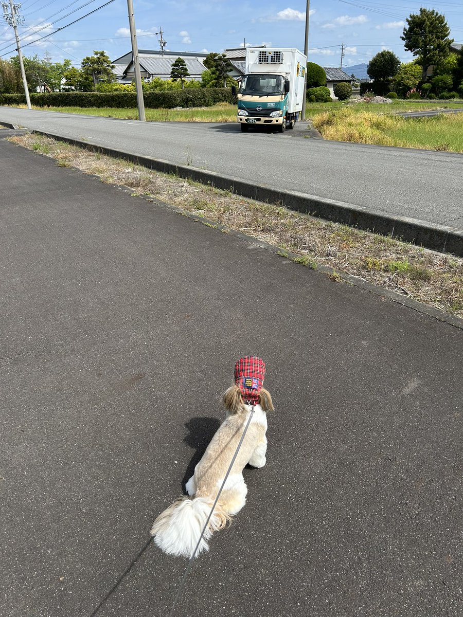 りりちゃん(🎀ơ ᎑ ơ) tweet media